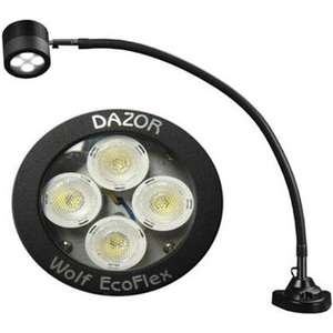 Lighting & Accessories